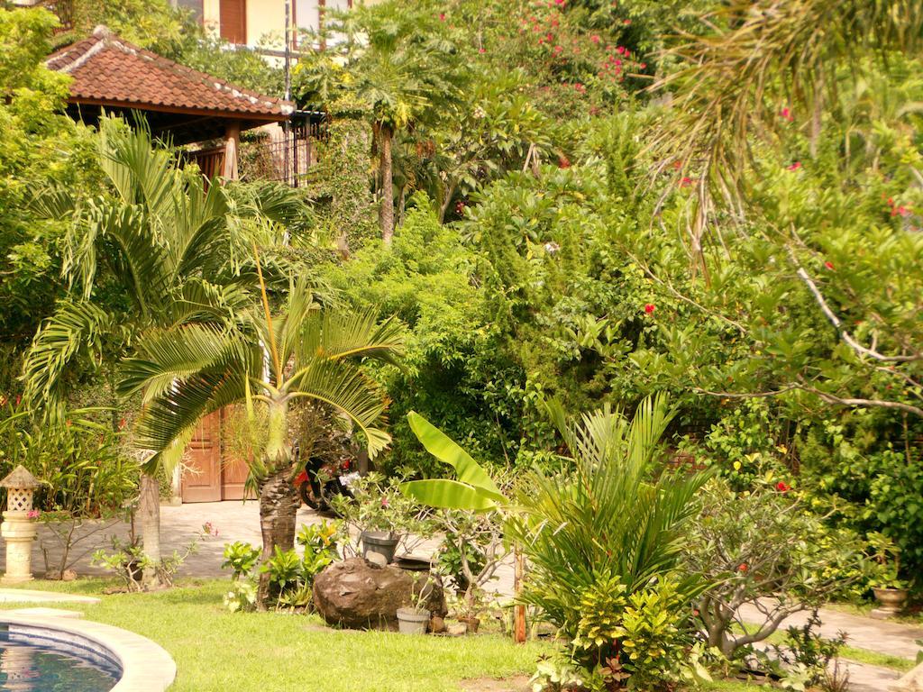 Sunset Villa Senggigi Bilik gambar